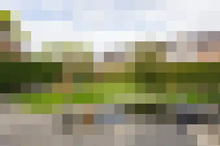 Nieuwe Kerkweg 51 Wehl thumbnail 77