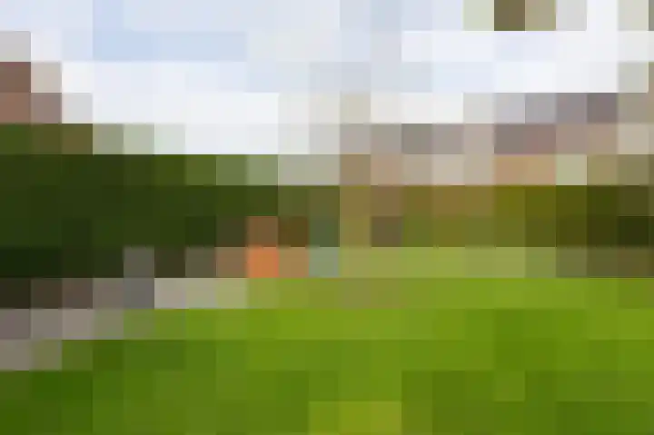 Nieuwe Kerkweg 51 Wehl thumbnail 78