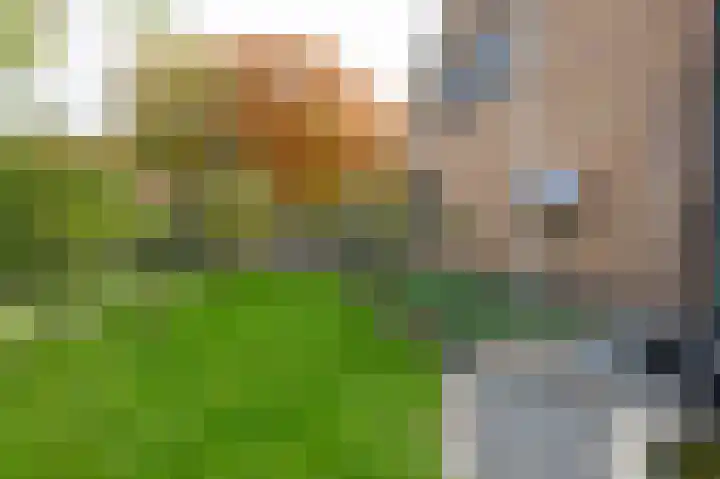 Nieuwe Kerkweg 51 Wehl thumbnail 79