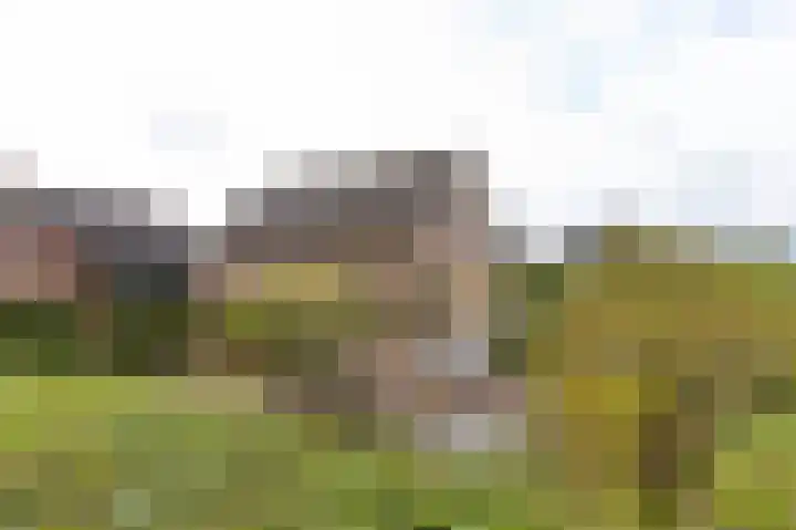 Nieuwe Kerkweg 51 Wehl thumbnail 8