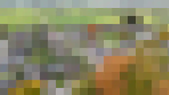 Nieuwe Kerkweg 51 Wehl thumbnail 81