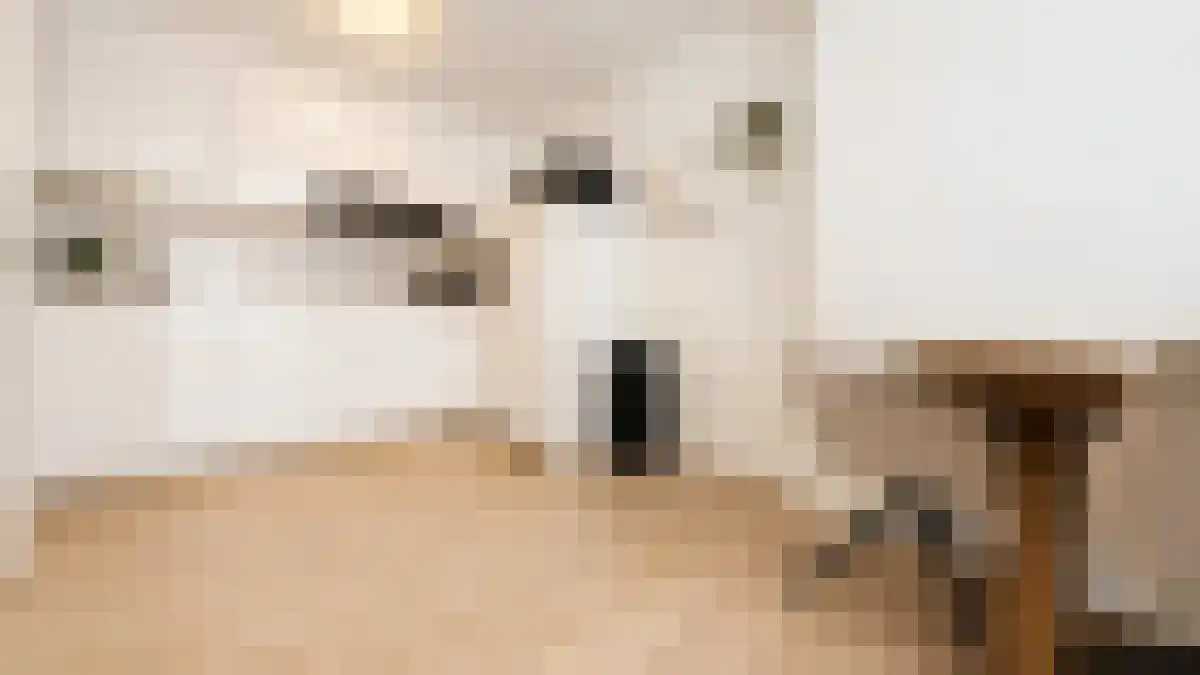 Nieuwe Kijk in 't Jatstraat 73 Groningen thumbnail 6