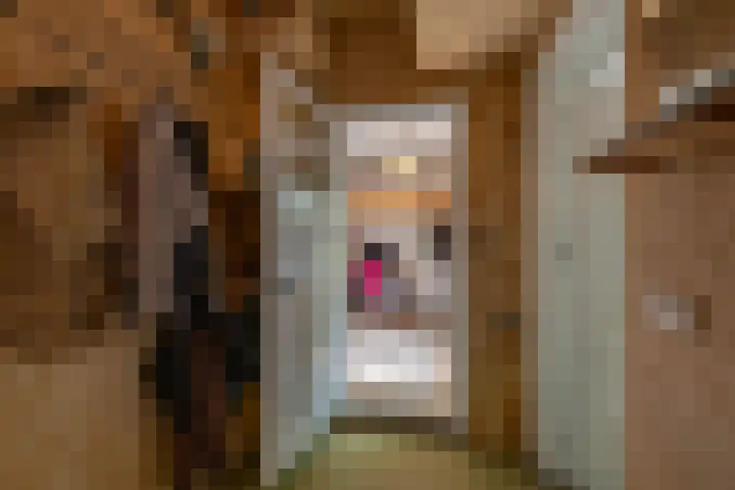 Nieuwe Kijk in 't Jatstraat 81 Groningen thumbnail 19