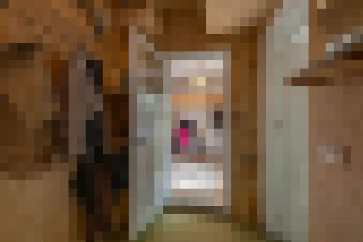 Nieuwe Kijk in 't Jatstraat 81 Groningen thumbnail 19