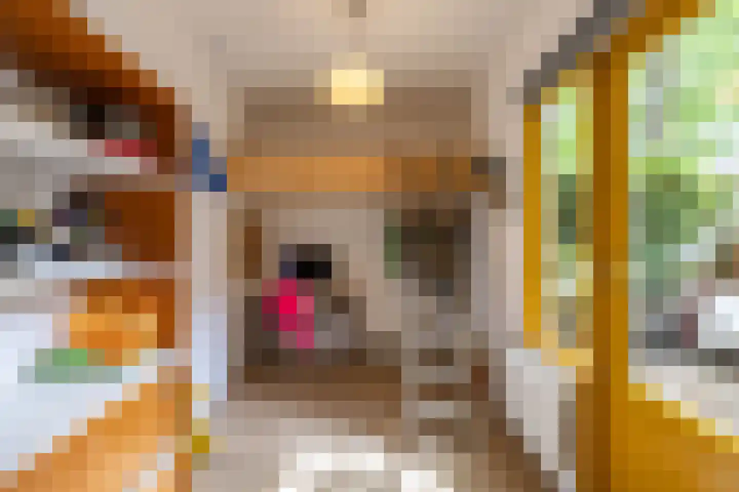 Nieuwe Kijk in 't Jatstraat 81 Groningen thumbnail 20