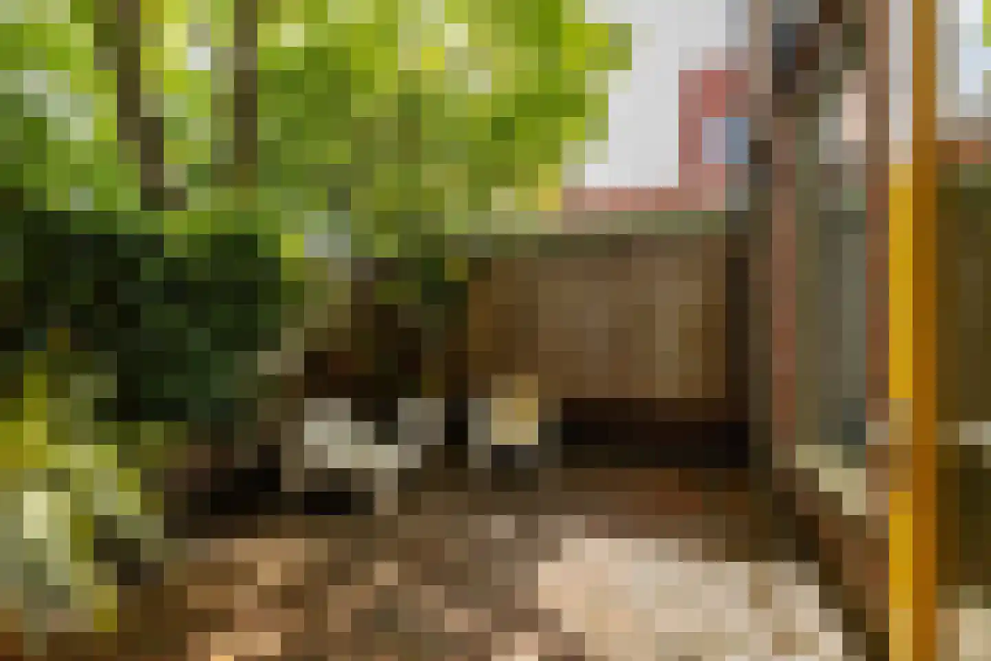 Nieuwe Kijk in 't Jatstraat 81 Groningen thumbnail 22