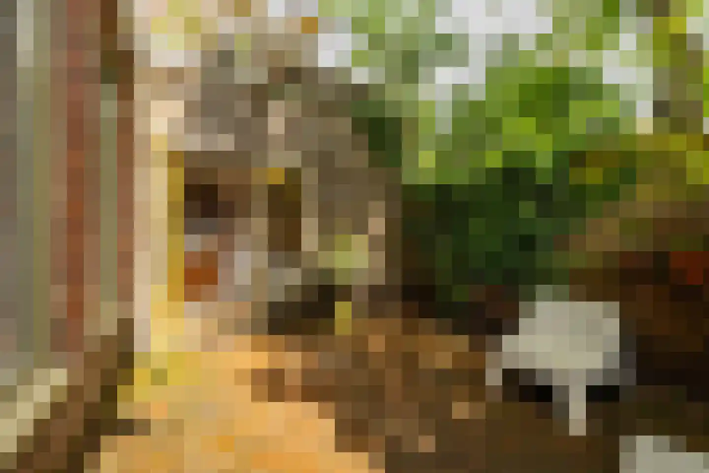 Nieuwe Kijk in 't Jatstraat 81 Groningen thumbnail 23