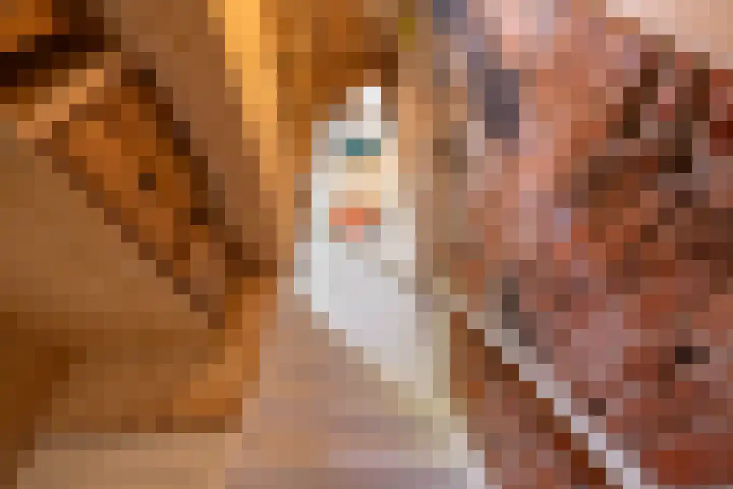 Nieuwe Kijk in 't Jatstraat 81 Groningen thumbnail 27
