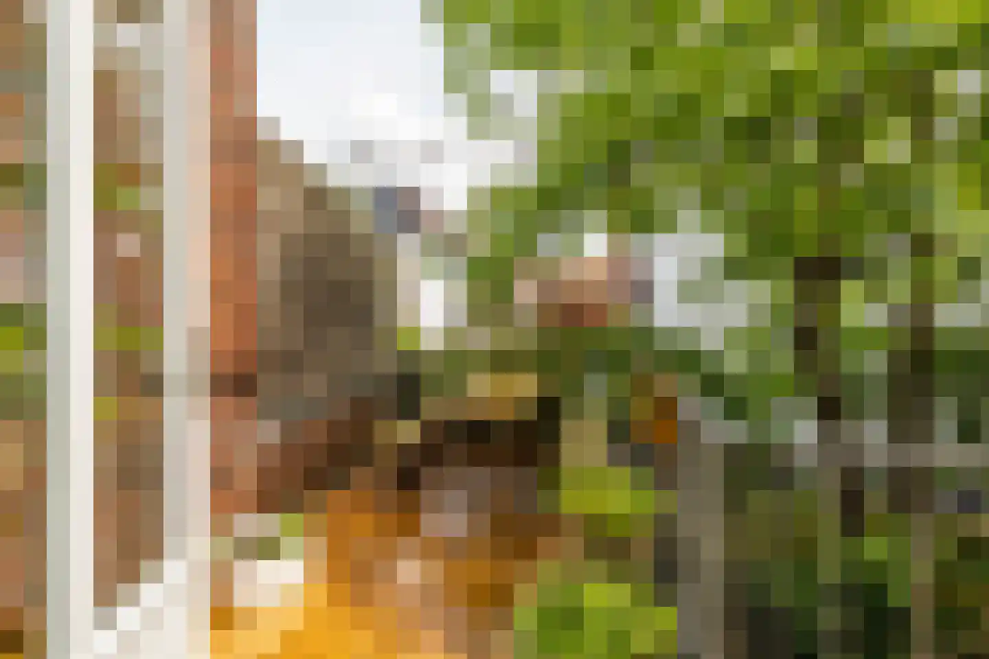 Nieuwe Kijk in 't Jatstraat 81 Groningen thumbnail 34