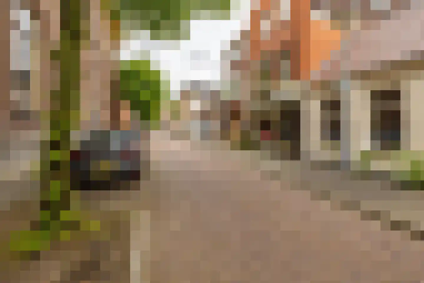 Nieuwe Kijk in 't Jatstraat 81 Groningen thumbnail 5