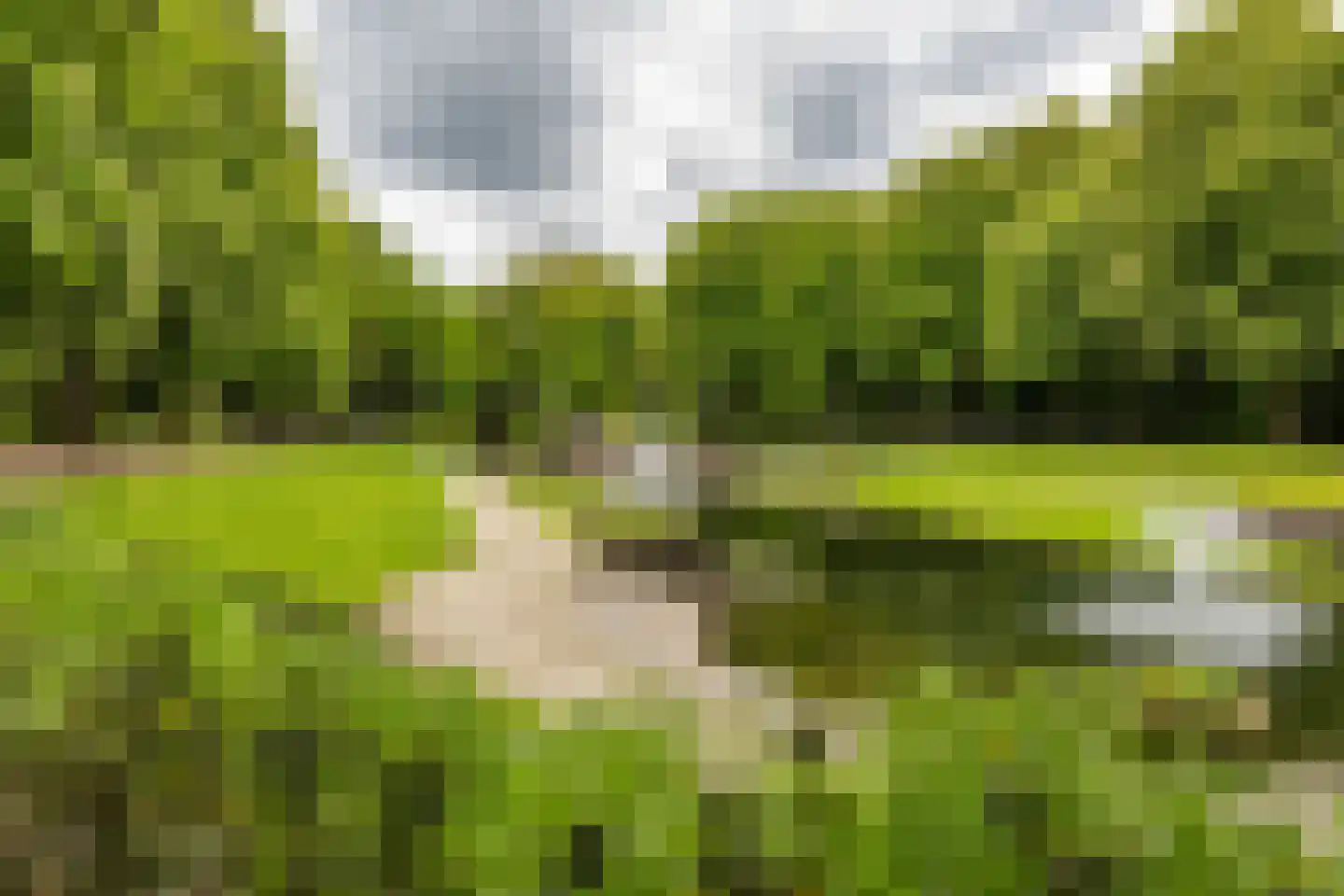 Nieuwe Kijk in 't Jatstraat 81 Groningen thumbnail 57
