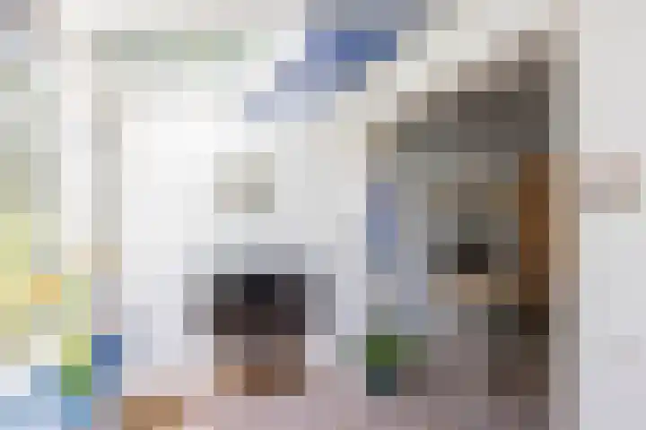 Nieuwe Kijk in 't Jatstraat 83 Groningen thumbnail 16