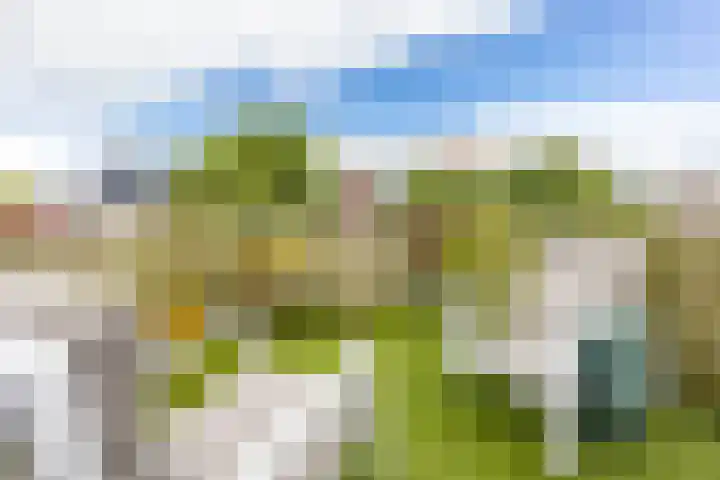 Nieuwe Kijk in 't Jatstraat 83 Groningen thumbnail 34