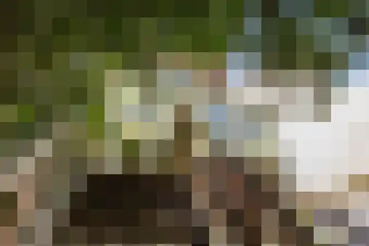 Nieuwe Kijk in 't Jatstraat 83 Groningen thumbnail 36