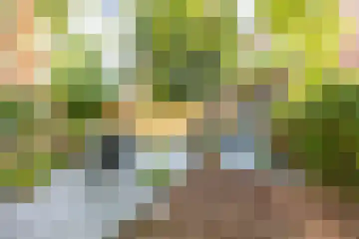 Nieuwe Kijk in 't Jatstraat 83 Groningen thumbnail 37