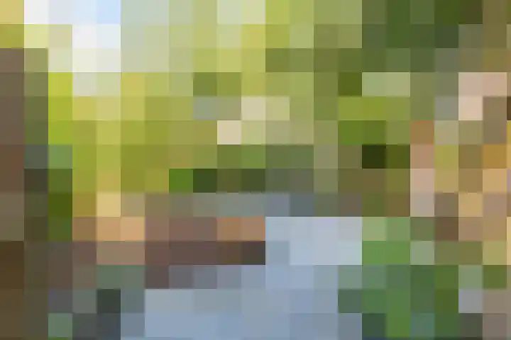 Nieuwe Kijk in 't Jatstraat 83 Groningen thumbnail 38