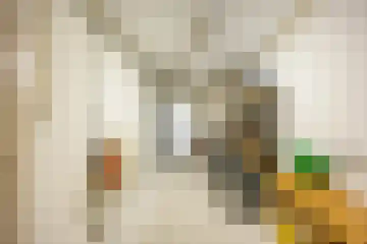 Nieuwe Kijk in 't Jatstraat 83 Groningen thumbnail 5