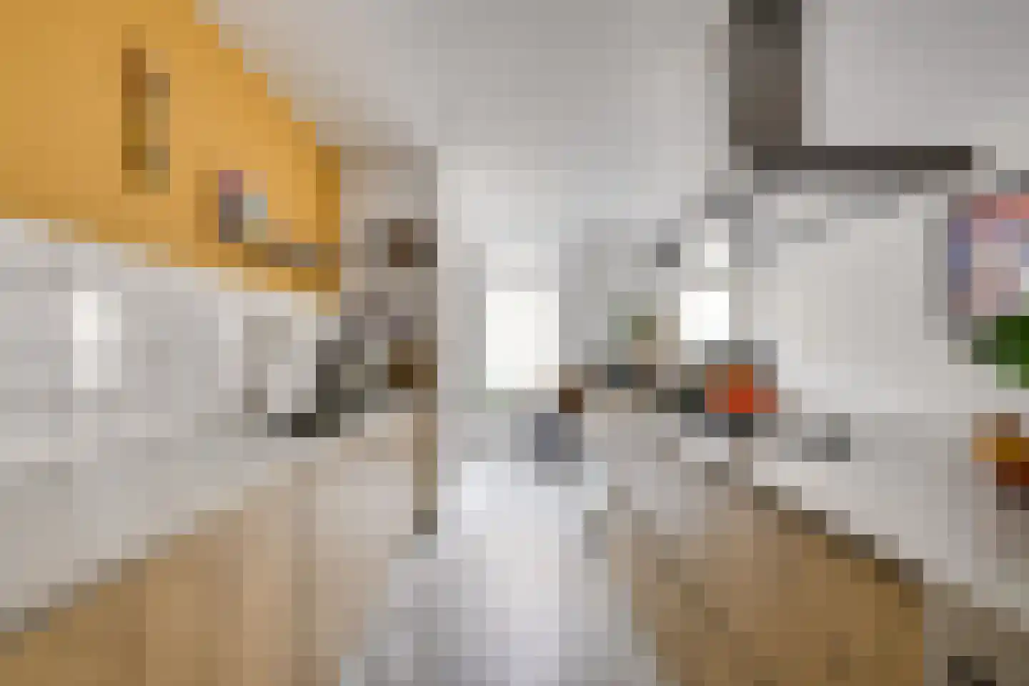 Nieuwe Koekoekstraat 10 Utrecht thumbnail 10