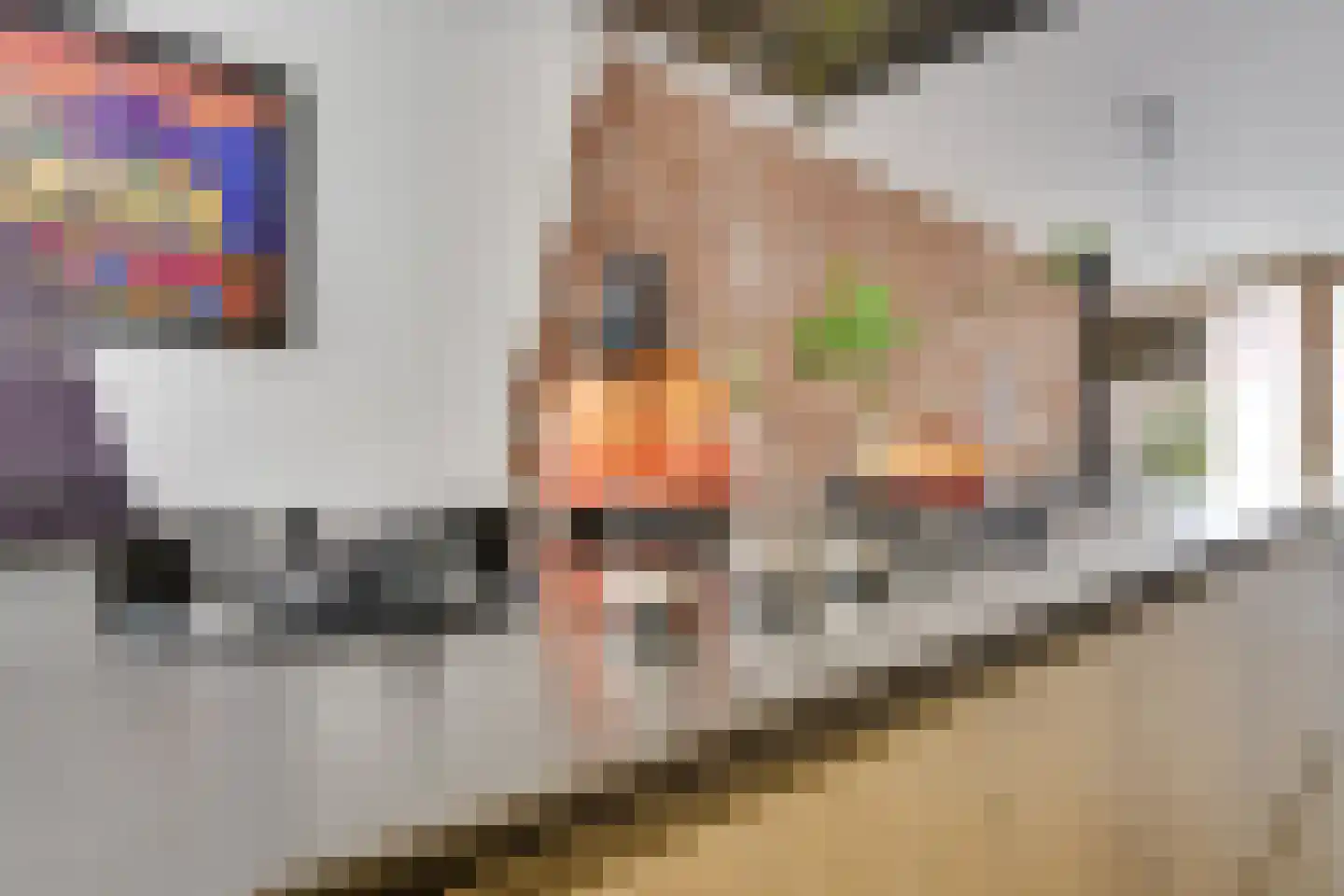 Nieuwe Koekoekstraat 10 Utrecht thumbnail 15