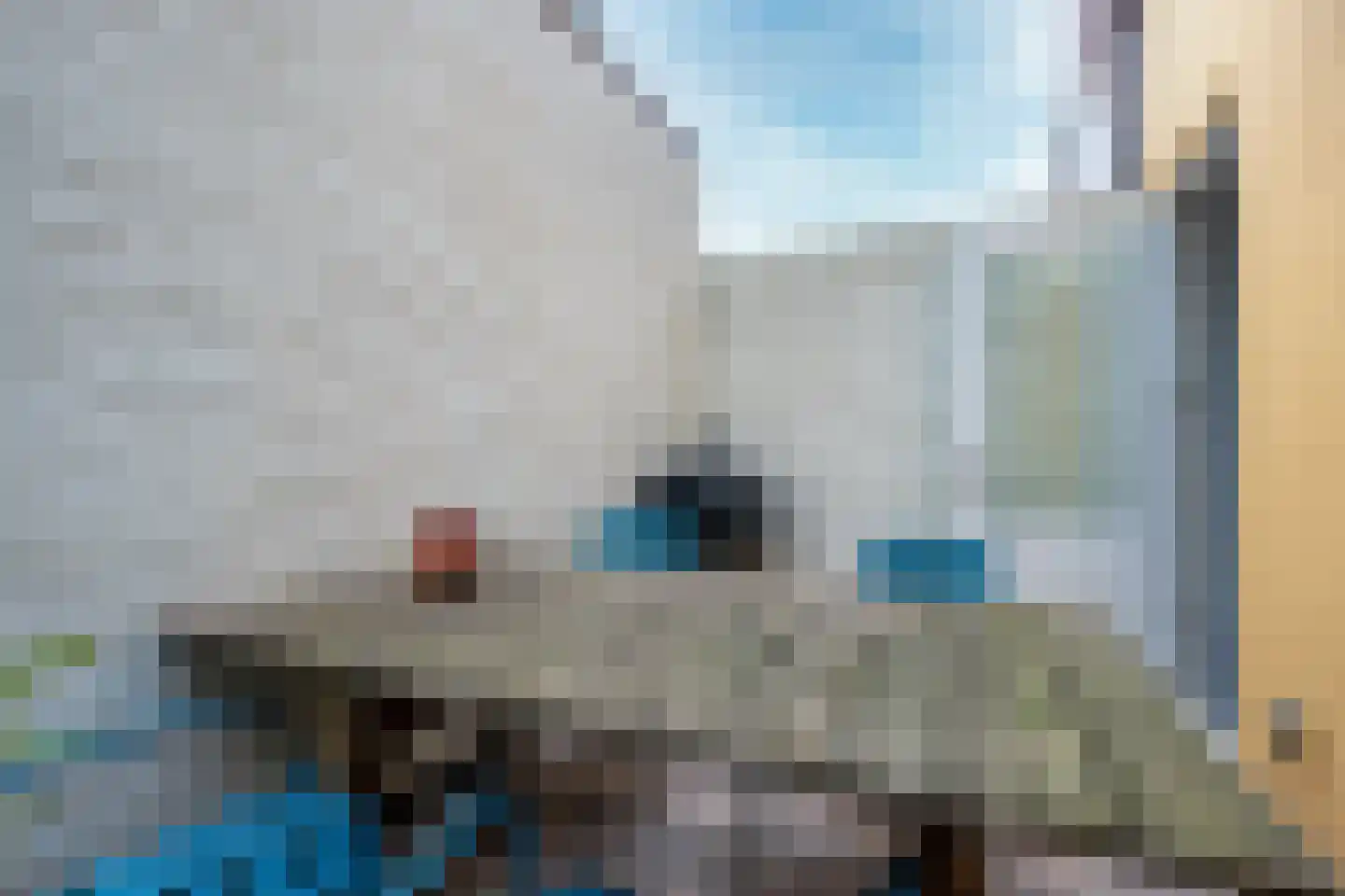 Nieuwe Koekoekstraat 10 Utrecht thumbnail 21