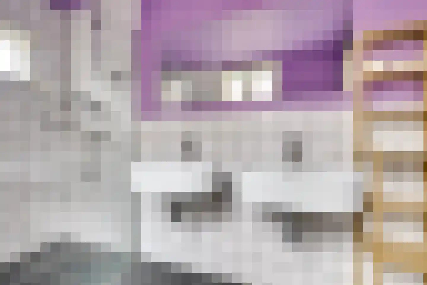 Nieuwe Koekoekstraat 10 Utrecht thumbnail 30