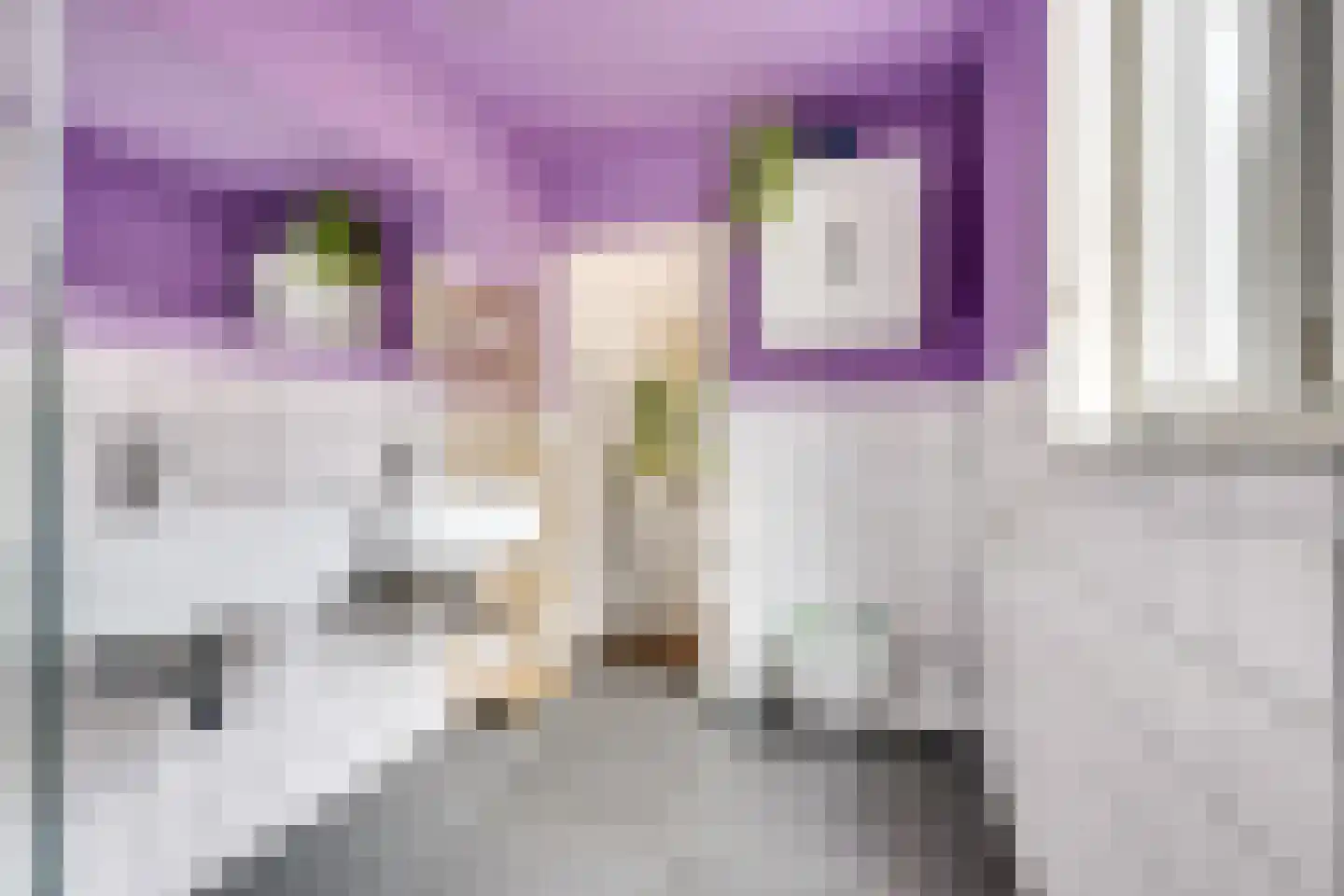 Nieuwe Koekoekstraat 10 Utrecht thumbnail 31