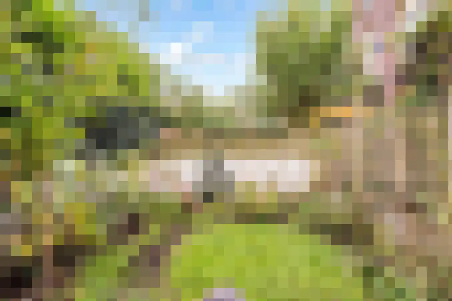 Nieuwe Koekoekstraat 11 Utrecht thumbnail 13