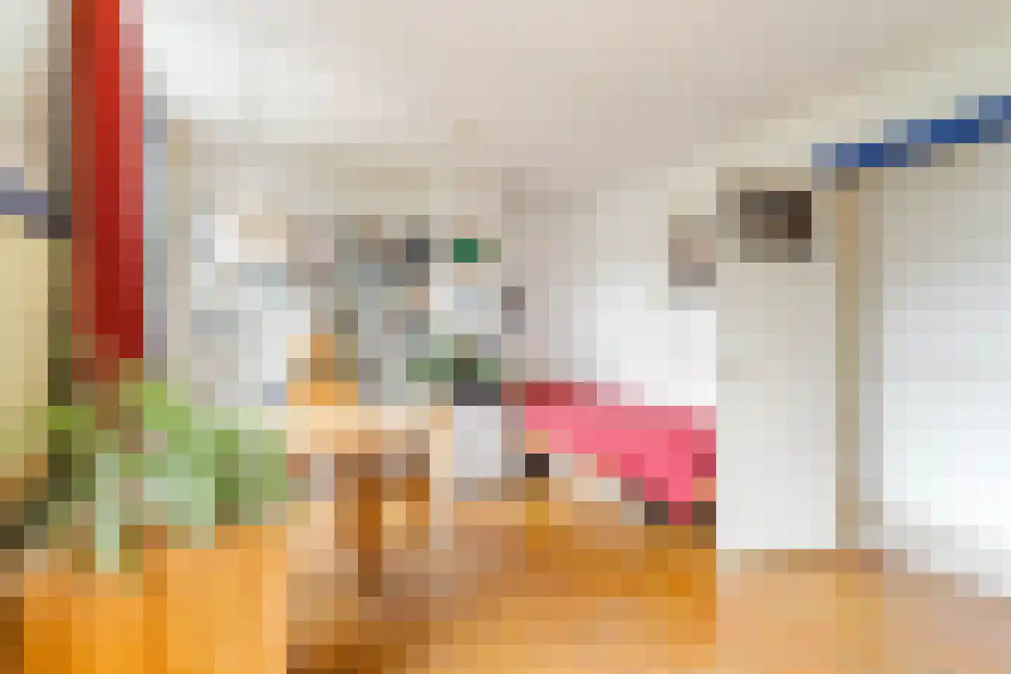 Nieuwe Koekoekstraat 11 Utrecht thumbnail 16