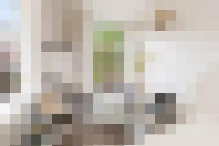 Nieuwe Koekoekstraat 117 Utrecht thumbnail 13