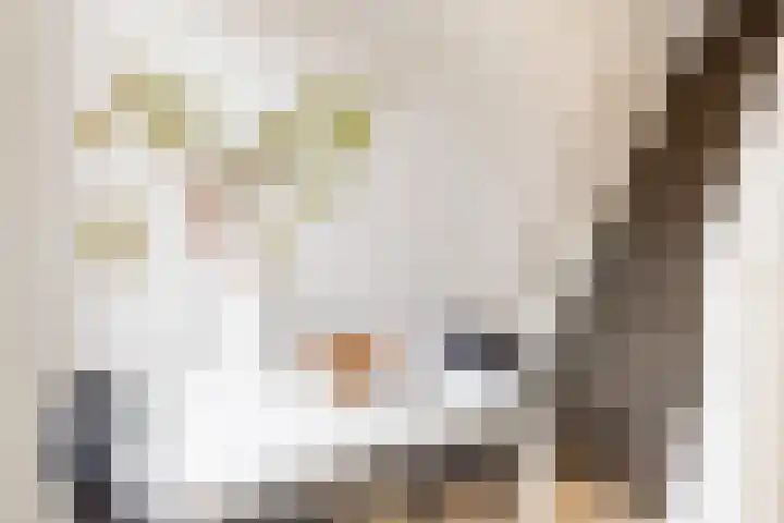 Nieuwe Koekoekstraat 117 Utrecht thumbnail 19