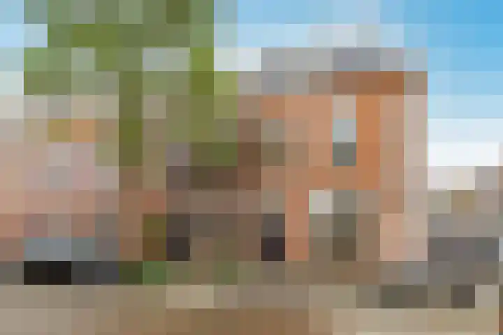 Nieuwe Koekoekstraat 117 Utrecht thumbnail 35