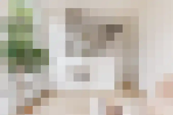 Nieuwe Koekoekstraat 117 Utrecht thumbnail 4
