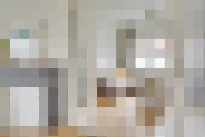 Nieuwe Koekoekstraat 43 Utrecht thumbnail 12
