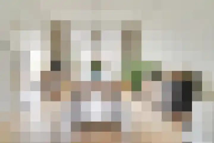 Nieuwe Koekoekstraat 43 Utrecht thumbnail 14
