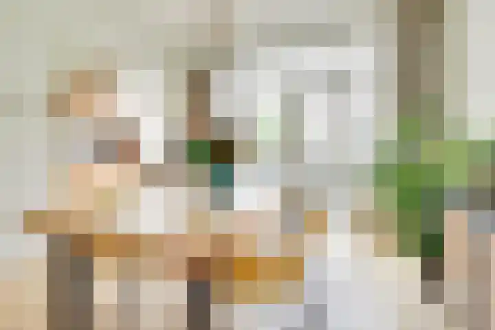 Nieuwe Koekoekstraat 43 Utrecht thumbnail 15