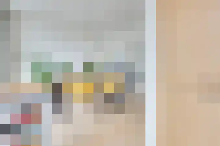 Nieuwe Koekoekstraat 43 Utrecht thumbnail 19