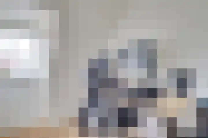 Nieuwe Koekoekstraat 43 Utrecht thumbnail 22