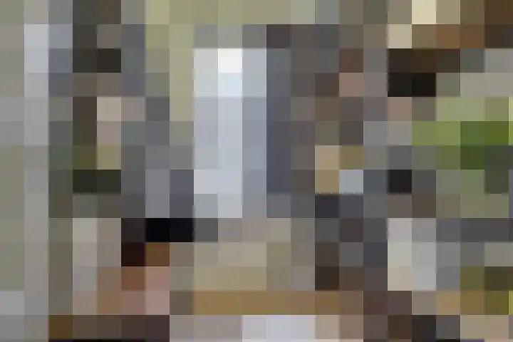 Nieuwe Koekoekstraat 43 Utrecht thumbnail 25