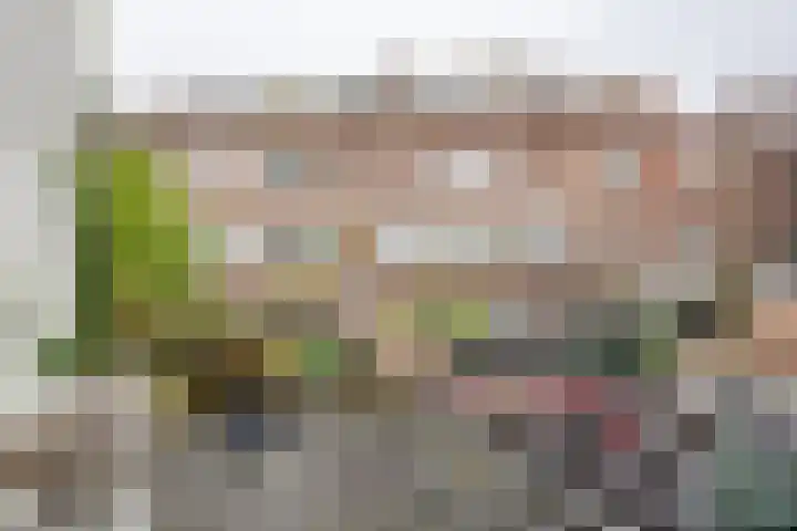 Nieuwe Koekoekstraat 43 Utrecht thumbnail 31