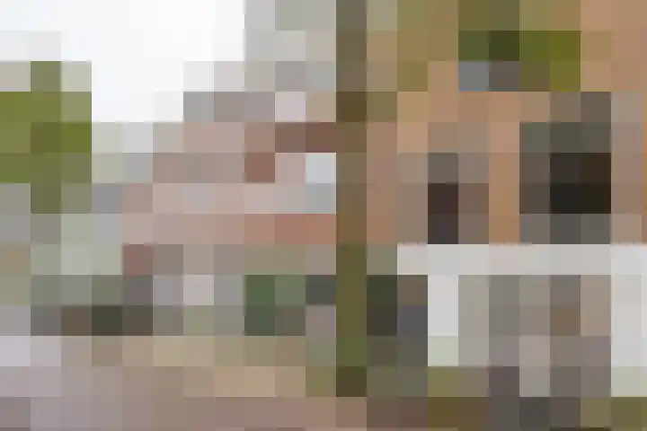 Nieuwe Koekoekstraat 43 Utrecht thumbnail 38