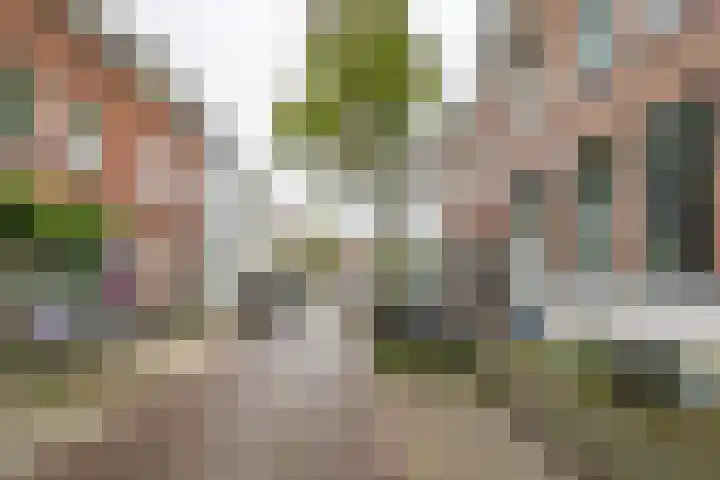 Nieuwe Koekoekstraat 43 Utrecht thumbnail 40