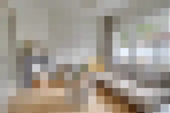 Nieuwe Koekoekstraat 43 Utrecht thumbnail 9