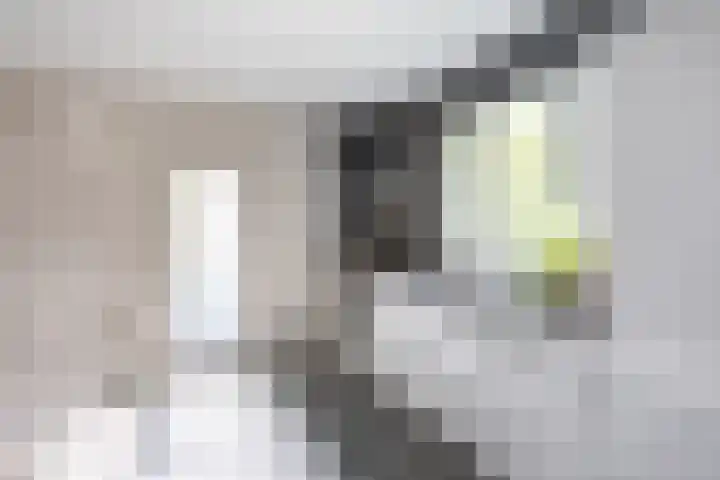Nieuwe Koekoekstraat 59 Utrecht thumbnail 16