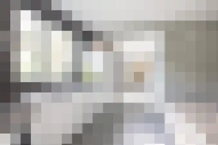 Nieuwe Koekoekstraat 59 Utrecht thumbnail 18