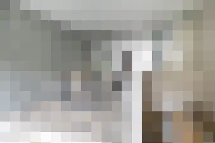 Nieuwe Koekoekstraat 59 Utrecht thumbnail 21