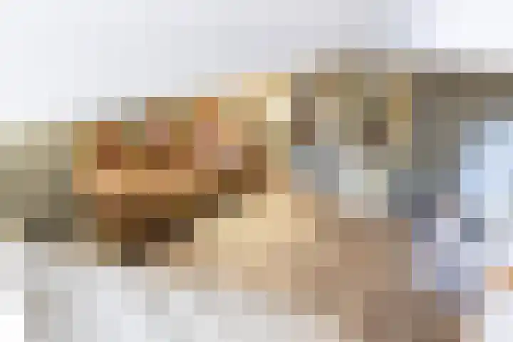 Nieuwe Koekoekstraat 59 Utrecht thumbnail 22