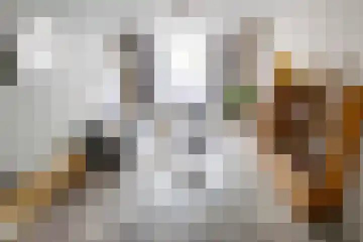 Nieuwe Koekoekstraat 59 Utrecht thumbnail 27