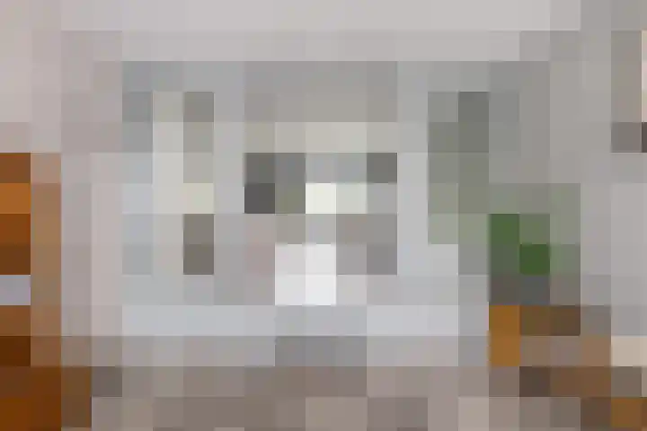 Nieuwe Koekoekstraat 59 Utrecht thumbnail 33