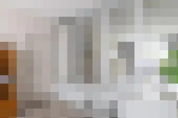 Nieuwe Koekoekstraat 59 Utrecht thumbnail 34
