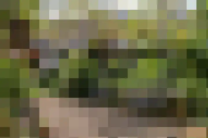 Nieuwe Koekoekstraat 59 Utrecht thumbnail 4